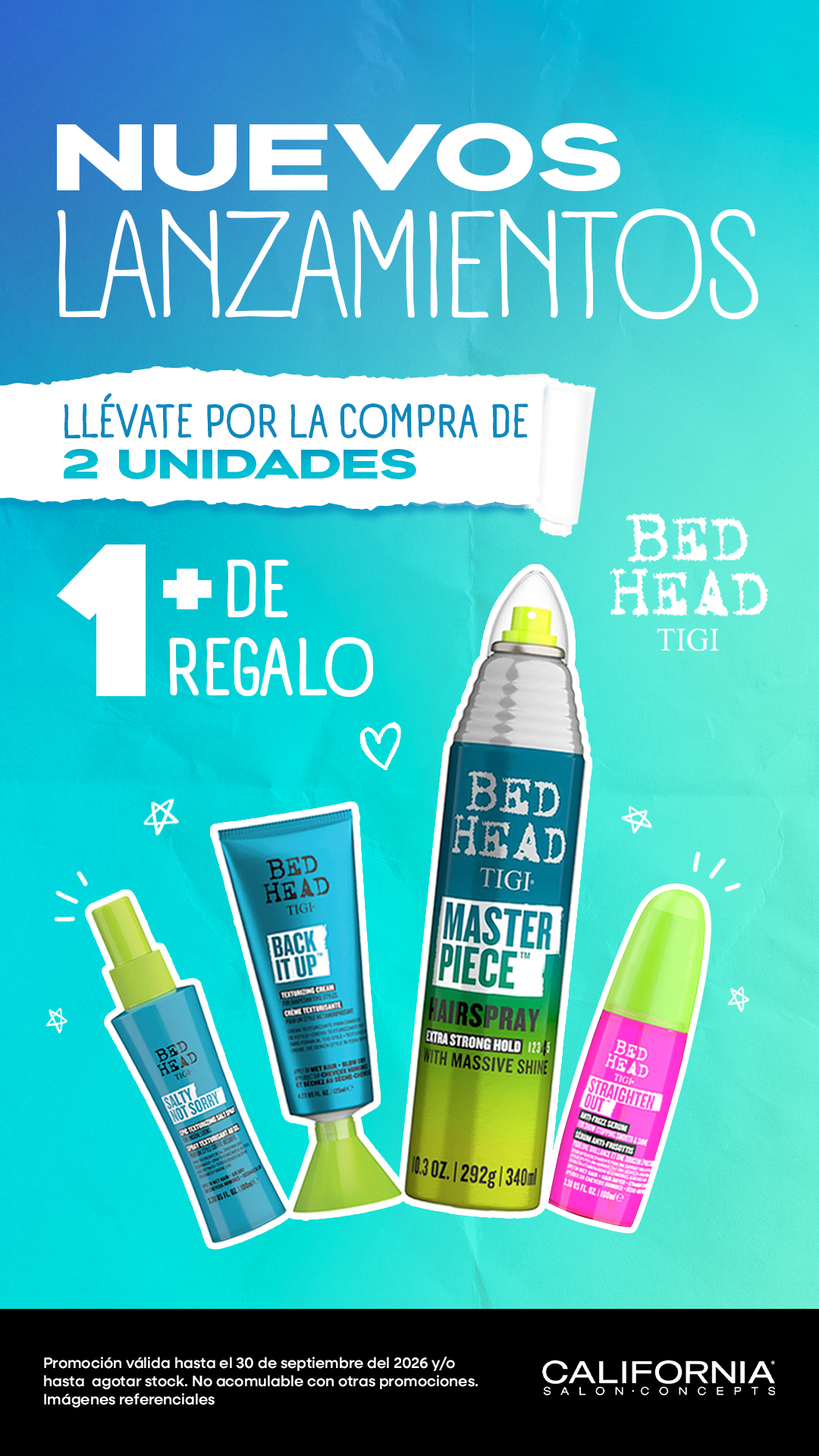 ¡Conoce nuestros nuevos ingresos!